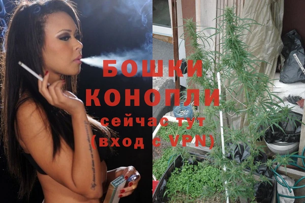 PSILOCYBIN Кинешма