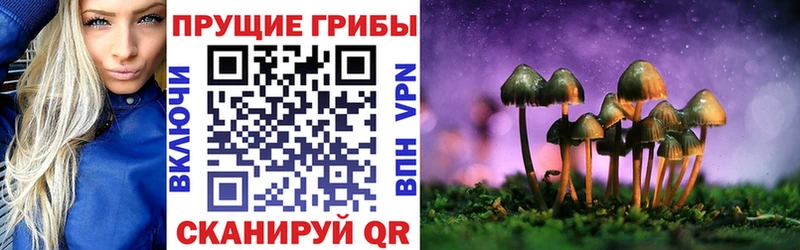 Галлюциногенные грибы мицелий  Купить закладки  Вышний Волочёк 